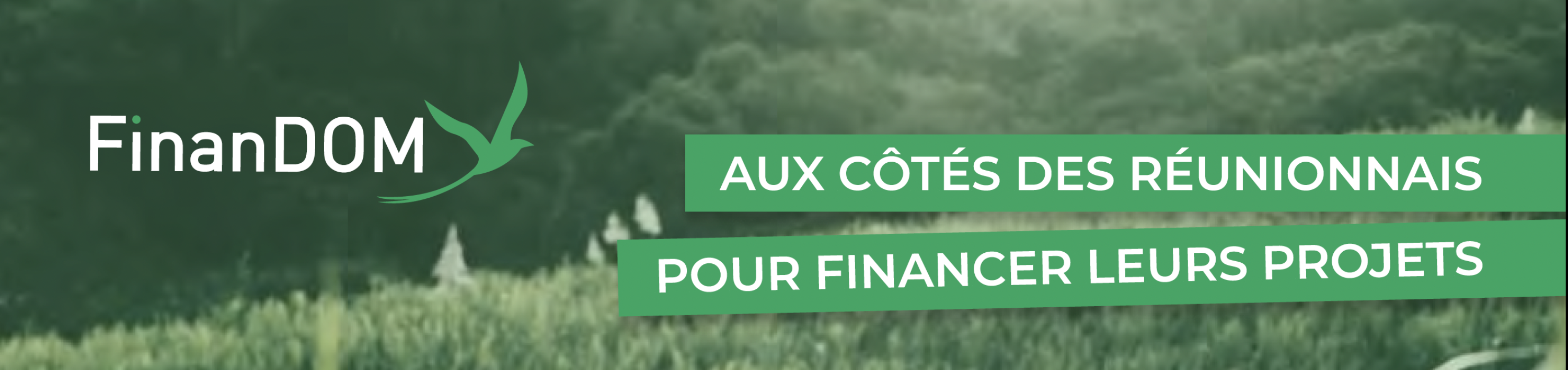 Image de couverture